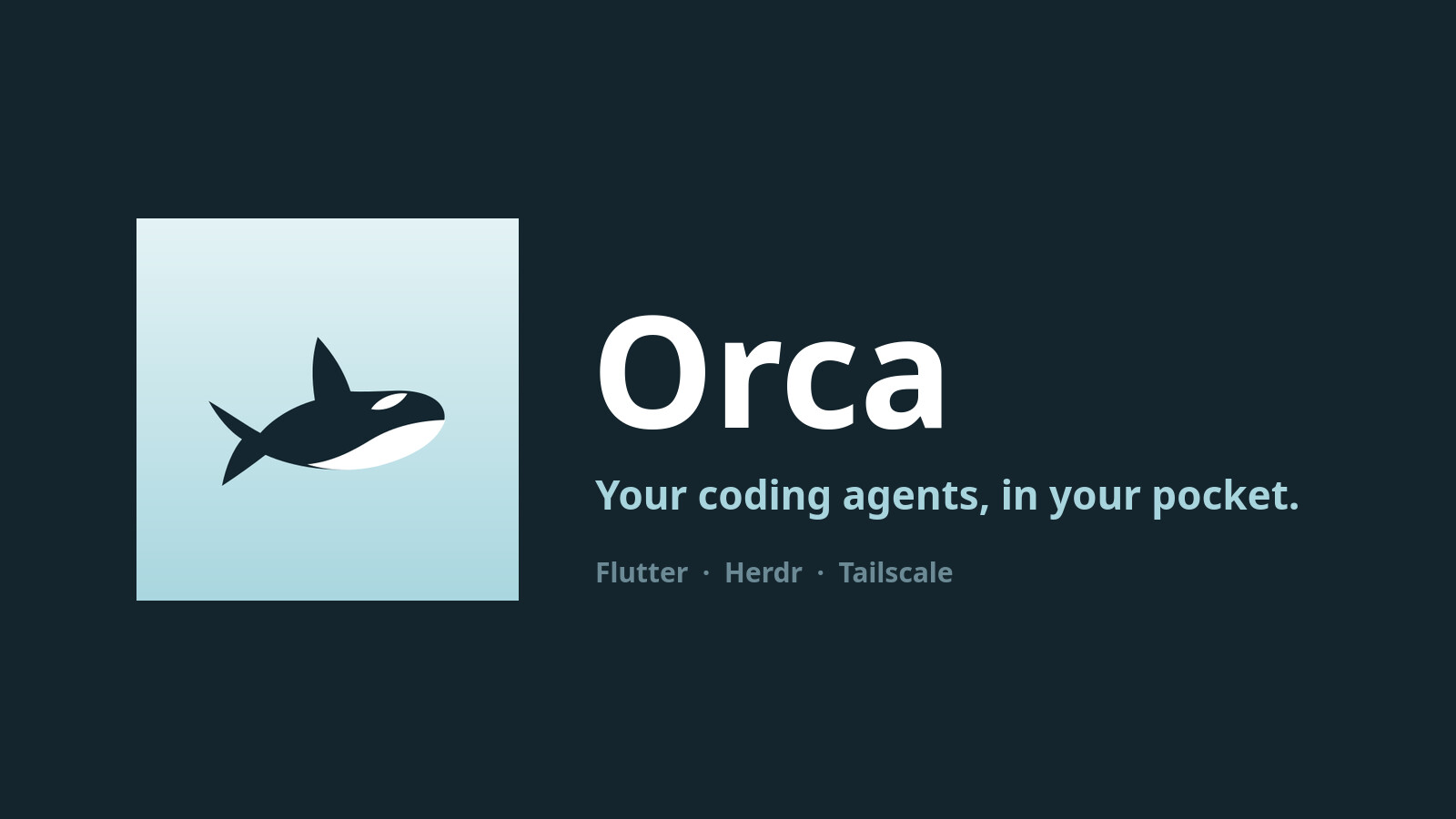 Orca